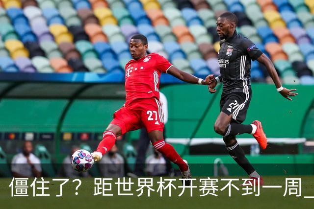 僵住了？距世界杯开赛不到一周 伊朗队仍未获得美国签证