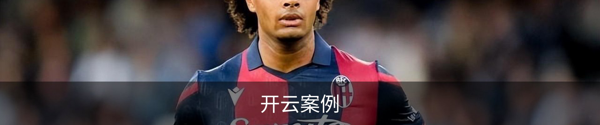开云案例