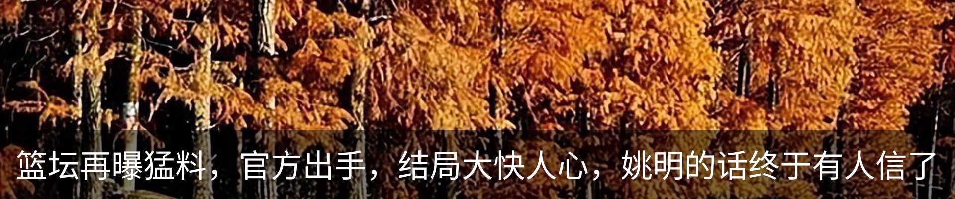新闻中心
