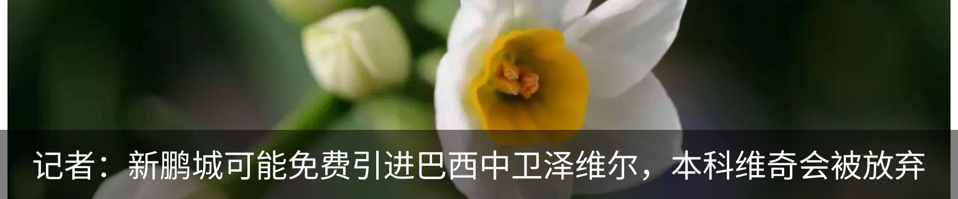 新闻中心