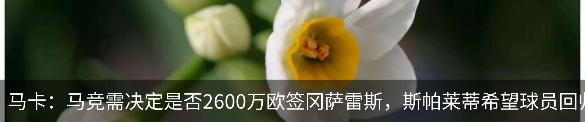 新闻中心